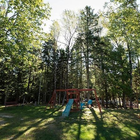 3 Bedroom Pool Playarea Campfire Cozy Apt Bar Harbor Eksteriør billede